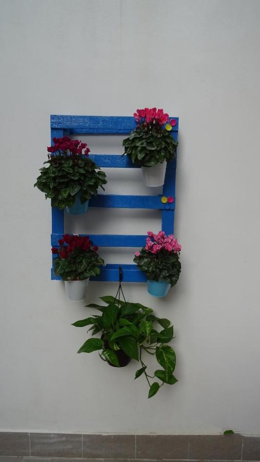 Il Giardino Segreto Apartment Palermo Ngoại thất bức ảnh